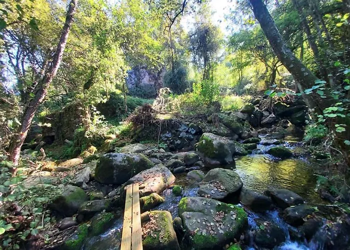 Casa Da Mena - No Caramulo Vouzela