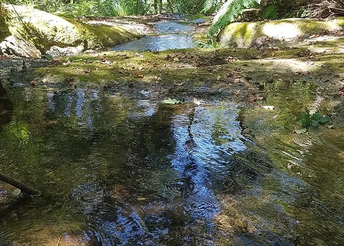 Casa vacanze Casa Da Mena - No Caramulo