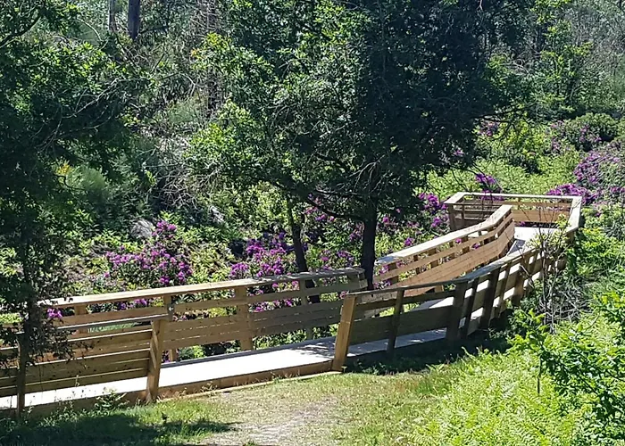 Casa vacanze Casa Da Mena - No Caramulo Vouzela